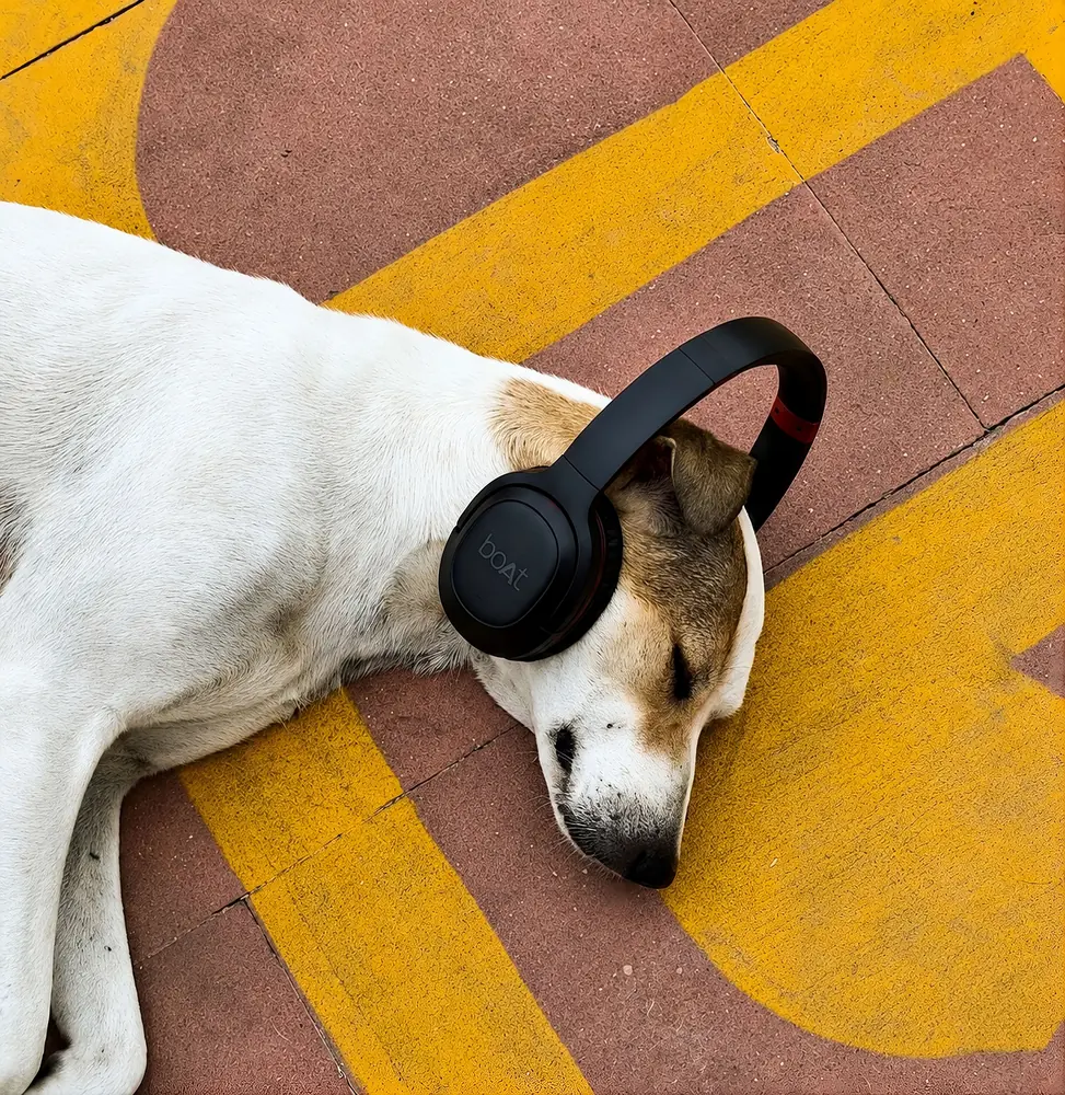 Fones antirruído para o ronco que ninguém assume